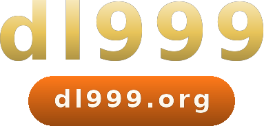 dl999 logo